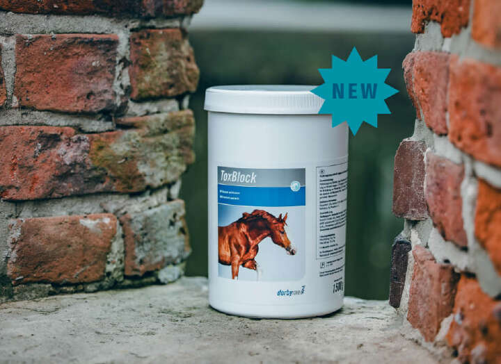 bild toxblock derbymed startseite (1)